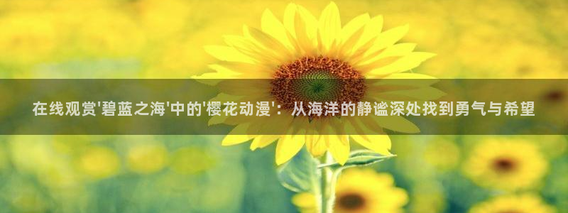 可可影视网址