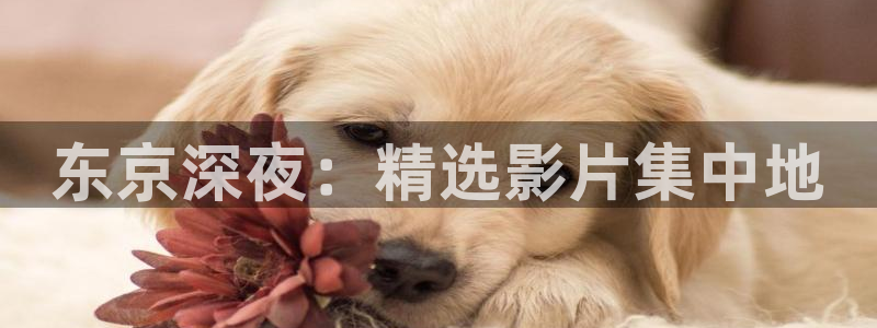可可影视在线观看免费播放电视剧