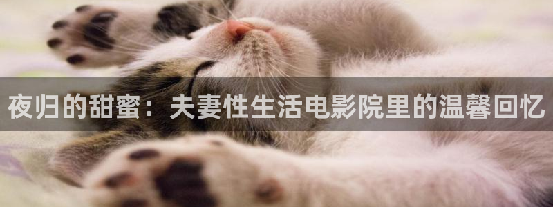 可可影视动漫免费观看完整版高清