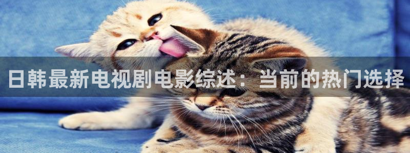 午夜十二点可可影视