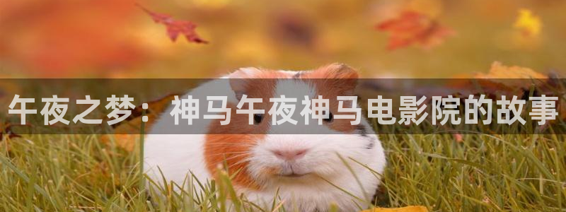 免费在线观看电影网站可可影视