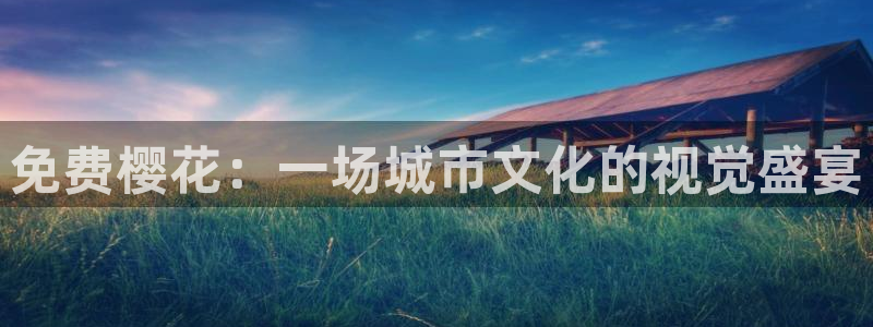 星空国际影院