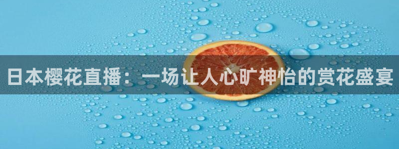 可可影视 入口
