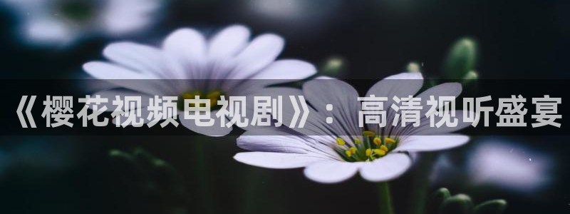 星空影视怎么免费看