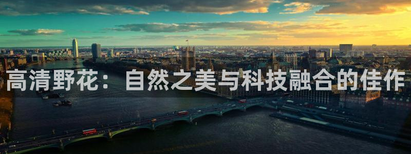 可可影视看