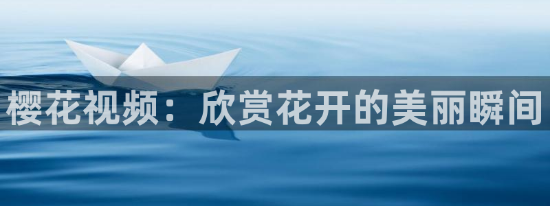 可可影视电影电视剧全集免费