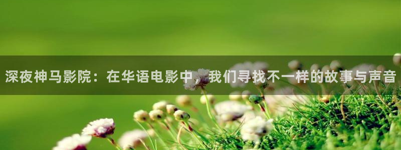 星空传媒在线播放