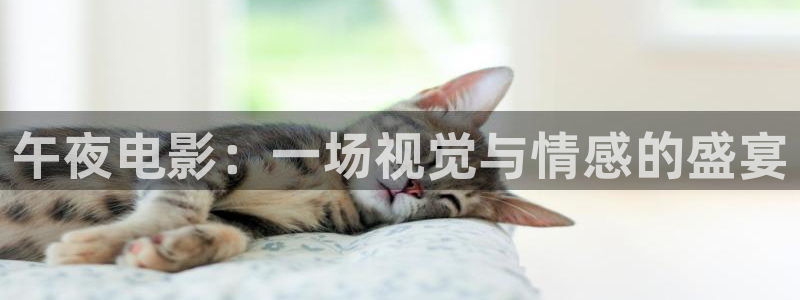 的星空