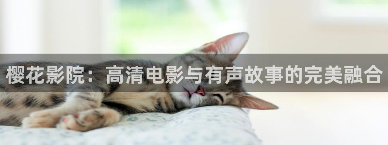 可可影视电视免费观看