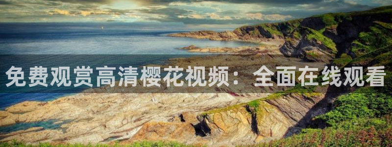 星空传媒精东影业在线视频