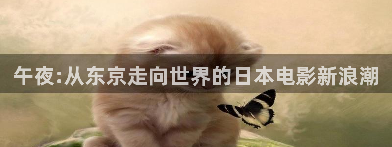 可可影视电视剧免费观看在线观看