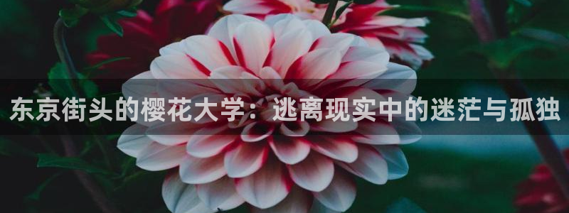 星空照