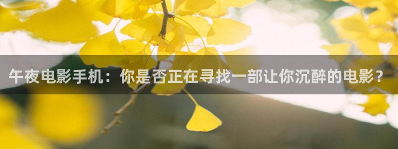 星空mv高清在线播放