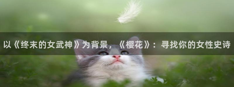 星空高清在线观看免费