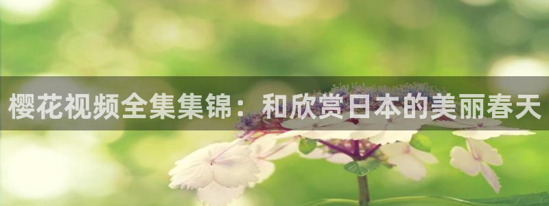 郑州星空电影院
